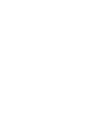San Institute of Computing, Management and Information Science